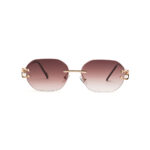 نظارات شمسية Cartier 4131 C2