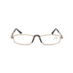 نظارات القراءة RY3901